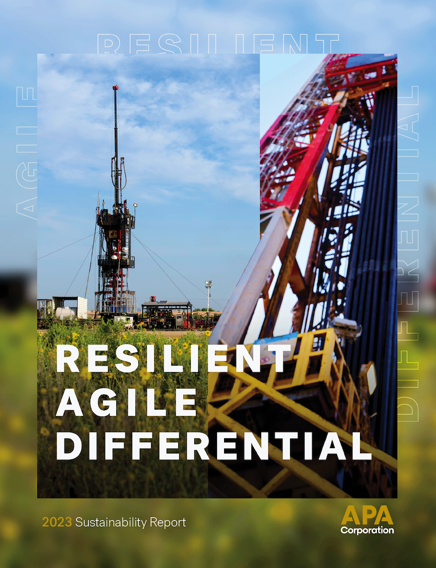 Resilient Agile Differential