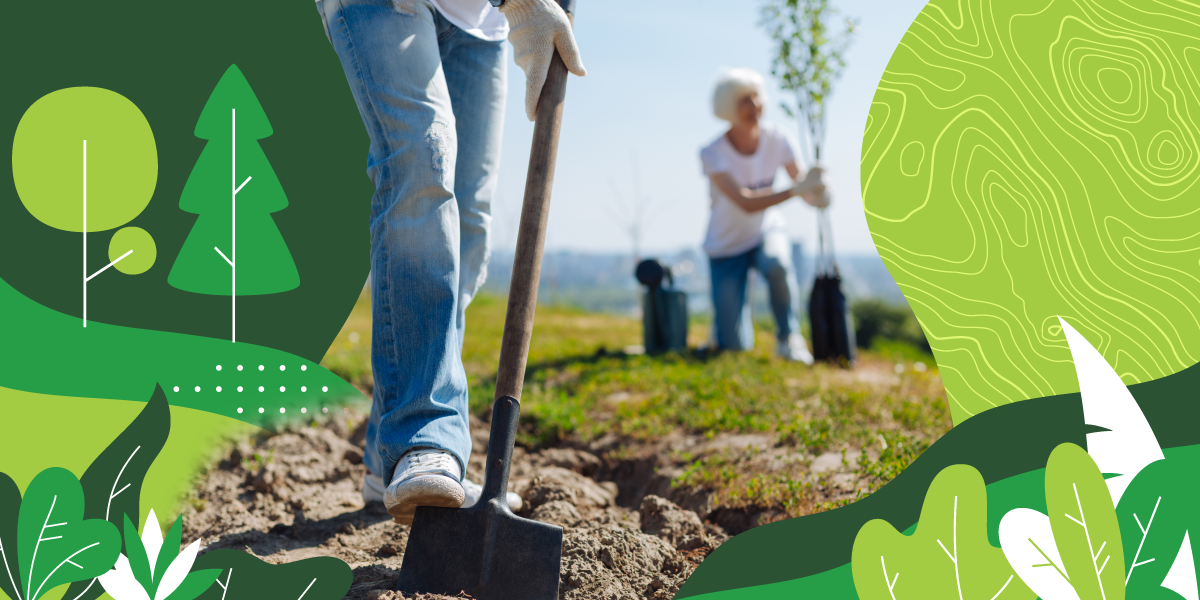 Restoring Communities Through Reforestation