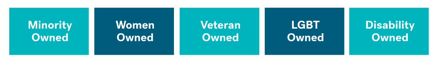 APA Supplier Diversity Qualifications