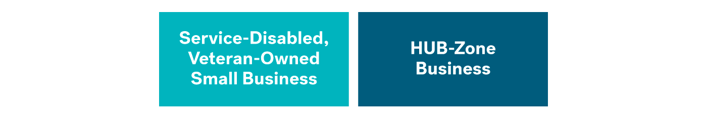 APA Supplier Diversity Small Business