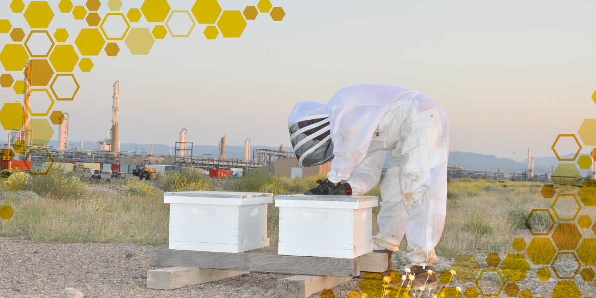 Protecting Bees & Maintaining Safe Operations